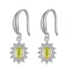 Stainless steel jewelry Earring wholesale