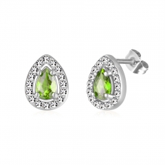 Stainless steel jewelry Earring wholesale