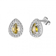 Stainless steel jewelry Earring wholesale