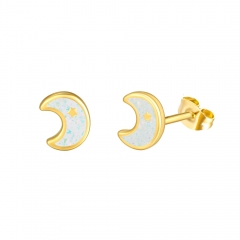 Stainless steel jewelry Earring wholesale