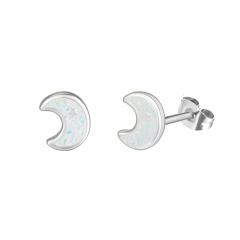 Stainless steel jewelry Earring wholesale