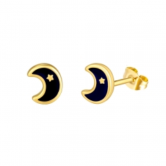 Stainless steel jewelry Earring wholesale