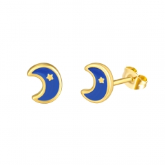 Stainless steel jewelry Earring wholesale