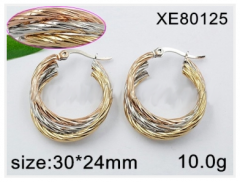 Stainless steel jewelry Earring wholesale