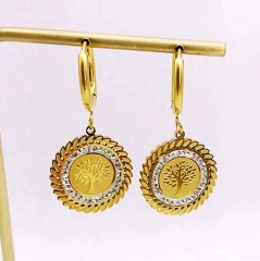 Stainless steel jewelry Fashion Earrings wholesale