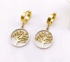 Stainless steel jewelry Fashion Earrings wholesale