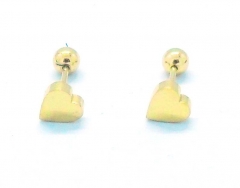 Stainless steel jewelry Fashion Earrings wholesale