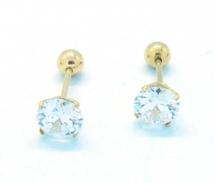 Stainless steel jewelry Fashion Earrings wholesale