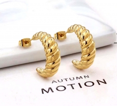 Stainless steel jewelry Fashion Earrings wholesale
