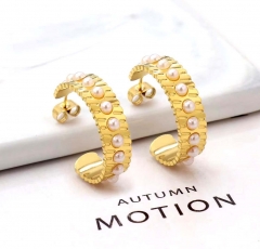 Stainless steel jewelry Fashion Earrings wholesale