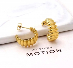 Stainless steel jewelry Fashion Earrings wholesale