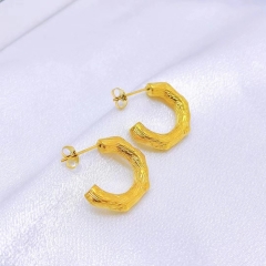 Stainless steel jewelry Fashion Earrings wholesale