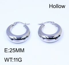 Stainless steel jewelry  Earrings wholesale
