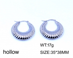 Stainless steel jewelry  Earrings wholesale