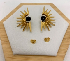 Stainless steel jewelry Earrings wholesale