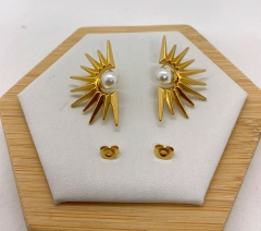 Stainless steel jewelry Earrings wholesale