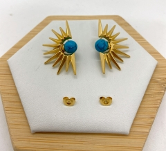 Stainless steel jewelry Earrings wholesale