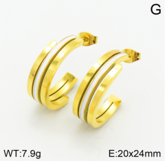 Stainless steel jewelry Earrings wholesale