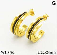 Stainless steel jewelry Earrings wholesale
