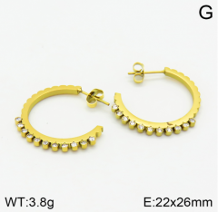 Stainless steel jewelry Earrings wholesale