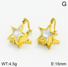 Stainless steel jewelry Earrings wholesale