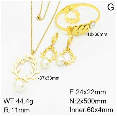 Stainless steel jewelry Necklace Earrings Ring bracelet set Wholesale