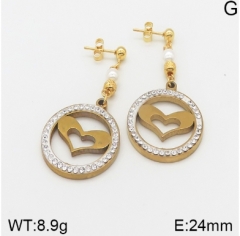Stainless steel jewelry Earrings wholesale