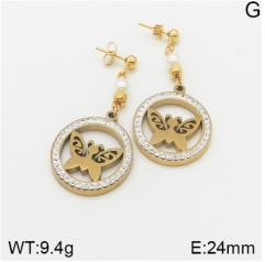 Stainless steel jewelry Earrings wholesale