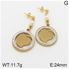 Stainless steel jewelry Earrings wholesale