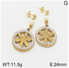 Stainless steel jewelry Earrings wholesale