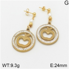Stainless steel jewelry Earrings wholesale