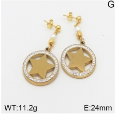 Stainless steel jewelry Earrings wholesale