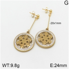 Stainless steel jewelry Earrings wholesale