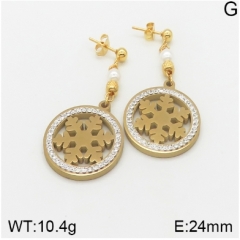 Stainless steel jewelry Earrings wholesale