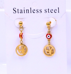 Stainless steel jewelry Earrings wholesale