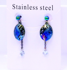 Stainless steel jewelry Earrings wholesale