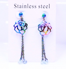 Stainless steel jewelry Earrings wholesale