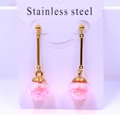 Stainless steel jewelry Earrings wholesale