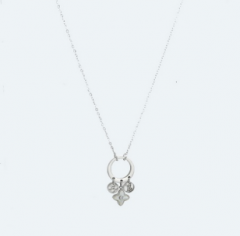 Stainless steel jewelry Necklace Wholesale
