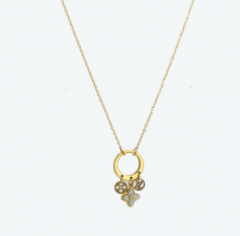 Stainless steel jewelry Necklace Wholesale