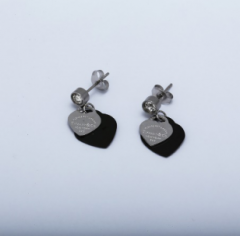 Stainless steel jewelry Earrings wholesale