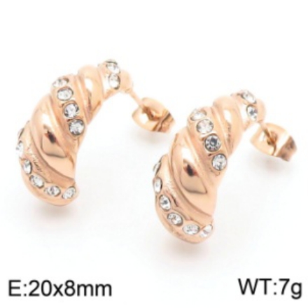 Stainless steel jewelry Earrings wholesale