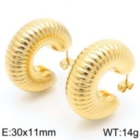 Stainless steel jewelry Earrings wholesale