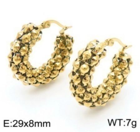Stainless steel jewelry Earrings wholesale