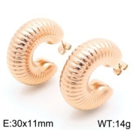 Stainless steel jewelry Earrings wholesale