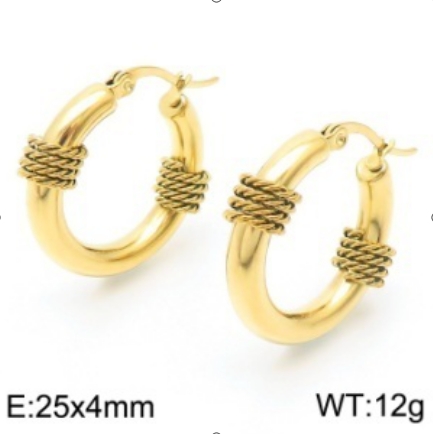 Stainless steel jewelry Earrings wholesale