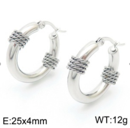 Stainless steel jewelry Earrings wholesale