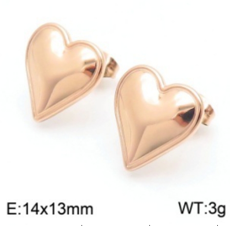 Stainless steel jewelry Earrings wholesale