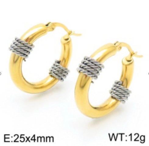 Stainless steel jewelry Earrings wholesale
