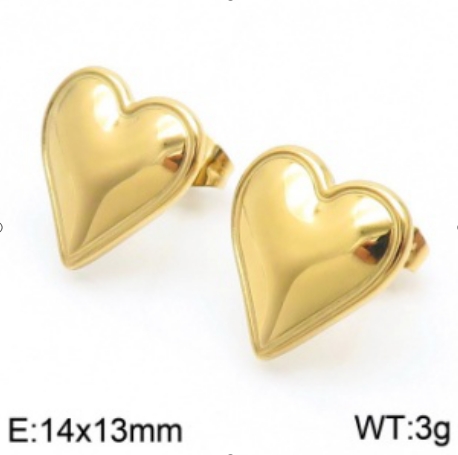 Stainless steel jewelry Earrings wholesale